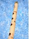 Öğrenci Kız Ney 2
